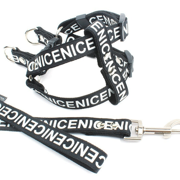 Collar de Tracción para Perros en Poliéster PET Resistente