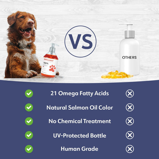 Aceite Premium de Salmón para Perros - Image 4