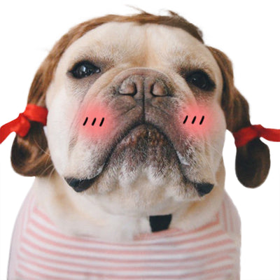 Peluca Divertida para Mascotas - Accesorios Cómicos y Creativos - Image 8