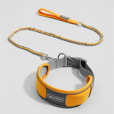 Collar y Correa para Perro Resistente a Tirones con Cierre de Seguridad - Image 9