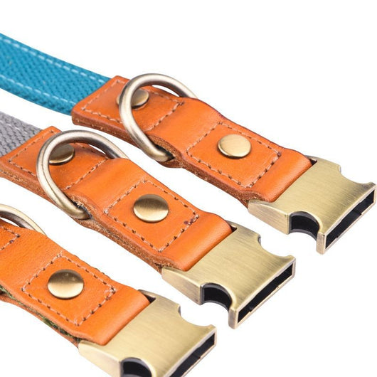 Collar de Cuero para Mascotas con Grabado Personalizado - Image 3