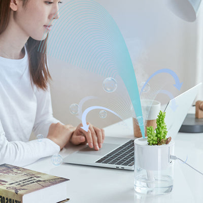 Creative small ecological humidifier with a succulent plant and white stones on top, featuring a clear water tank. - Image 6