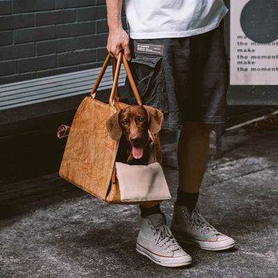 Bolsa Transportadora Portátil para Mascotas con Kennel para Auto - Image 3