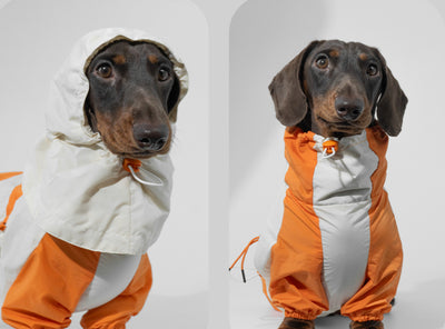 Ropa de Invierno a Juego para Mascotas - Image 3