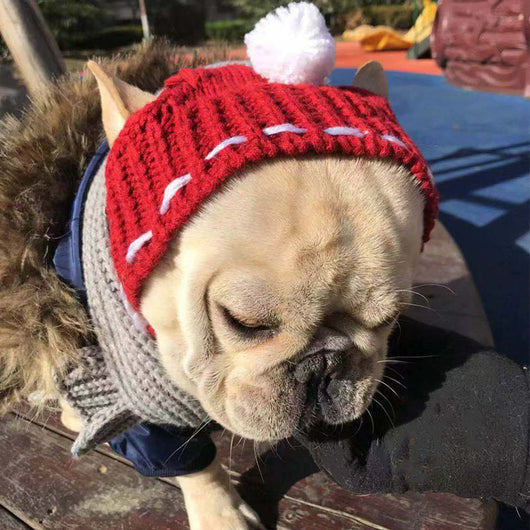 Gorro de Lana Divertido para Mascotas - Abrigo Cálido para Invierno - Image 13