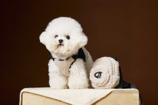 Chaleco de Terciopelo Acolchado Schnauzer Bichon sin Mangas - Image 31