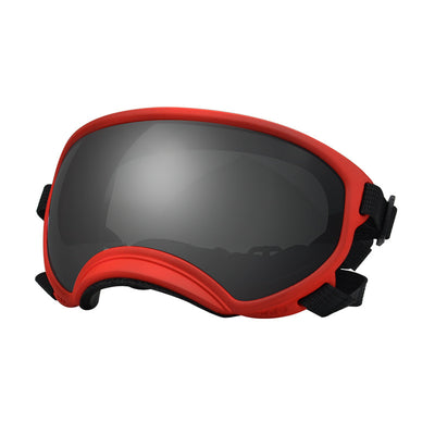 Gafas Protectoras para Perros en la Nieve - Image 8