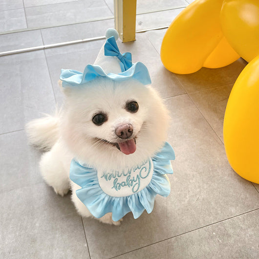 Pañuelo Fiesta Cumpleaños Perro y Gato - Babero Bandana Mascota con Diseño Joyero - Image 26