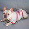 Ropa de Entrenamiento Deportivo Canino