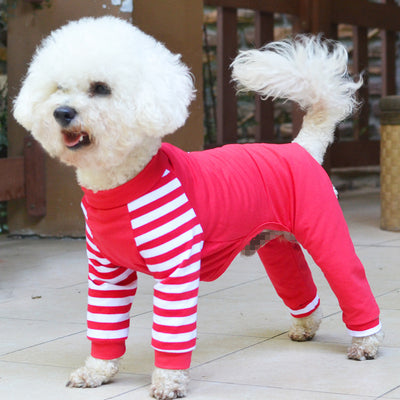 Ropa para Perros Estilo Osito de Cuatro Patas - Image 5