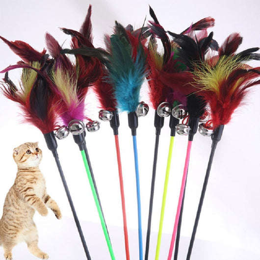 Varita Interactiva para Gatos