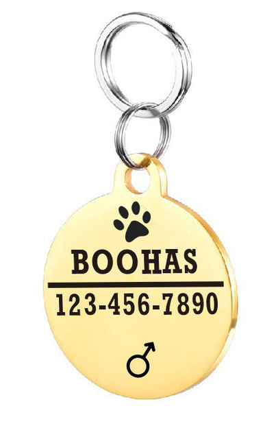 Placa de Identificación para Perro en Acero Inoxidable Personalizada - Image 41