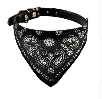Collar Ajustable con Cierre Rápido de Metal para Perros Pequeños y Medianos - Image 8