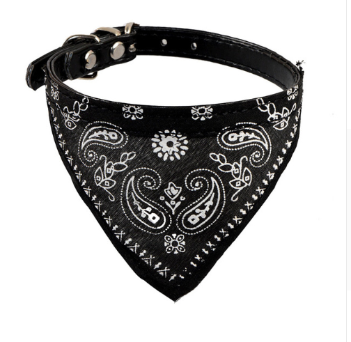 Collar Ajustable con Cierre Rápido de Metal para Perros Pequeños y Medianos - Image 8