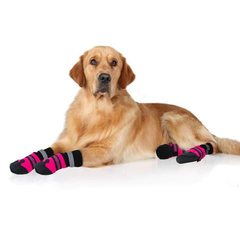 Botas Impermeables para Perros Grandes y Medianos - Image 15