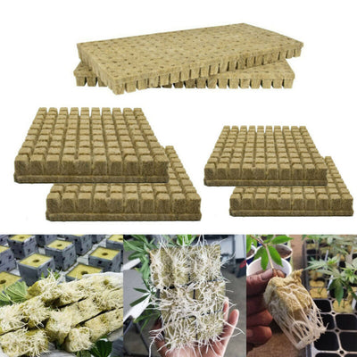 Macetas y Contenedores de Cultivo 25x25x40mm - Image 7