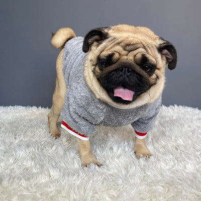 Suéter Abrigador para Mascotas - Image 8