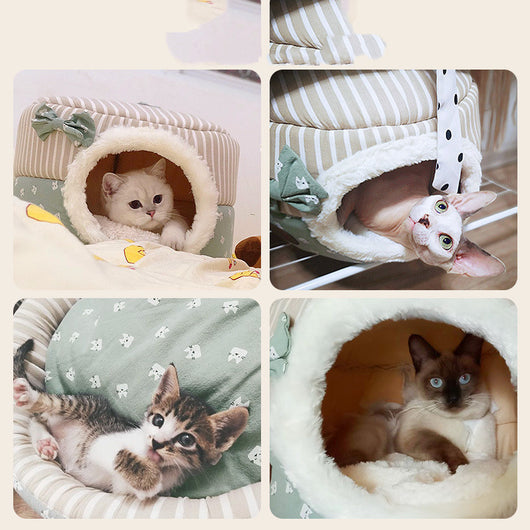 Arenilla para Gatos Todo Clima - Otoño e Invierno - Image 6