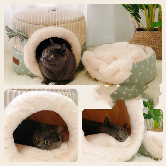 Arenilla para Gatos Todo Clima - Otoño e Invierno - Image 7