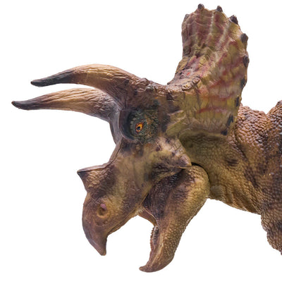 Modelo Científico Artístico Triceratops con Base Móvil - Image 7