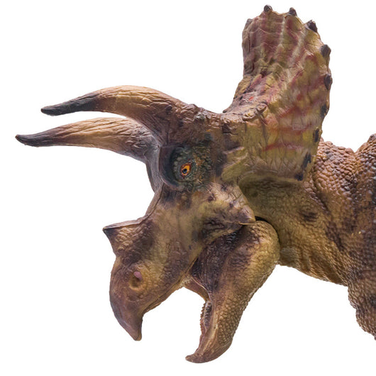 Modelo Científico Artístico Triceratops con Base Móvil - Image 7