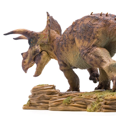 Modelo Científico Artístico Triceratops con Base Móvil - Image 2