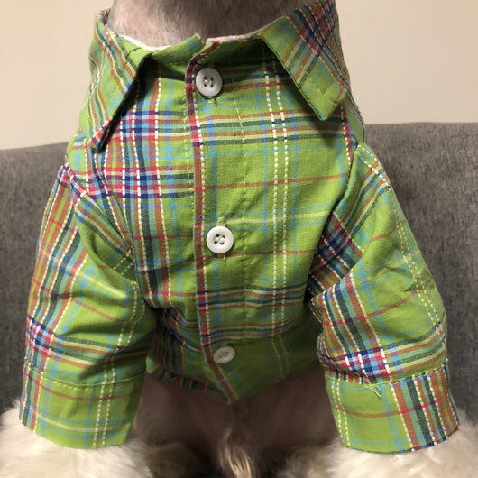 Abrigo Térmico para Perros Pequeños y Medianos - Schnauzer, Corgi y Gatos - Image 9