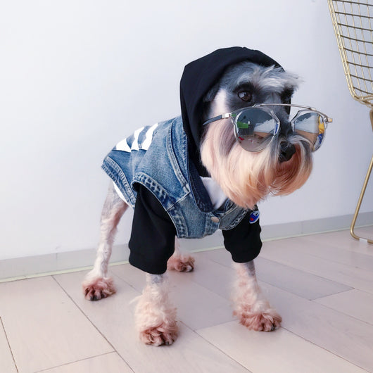 Ropa para Gatos Pet Tide - Diseño Teddy Suave y Cómodo - Image 3