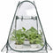 Invernadero Protector Anticongelante para Plantas y Flores de Jardín