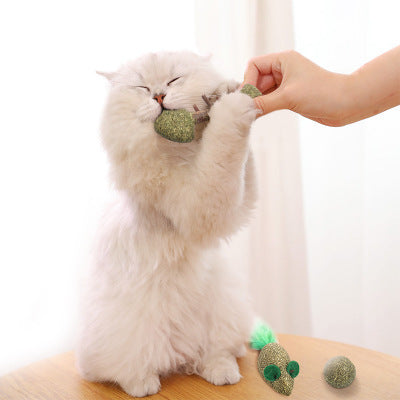 Juguete Interactivo para Gatos con Catnip - Pez y Ratón Masticable - Image 6