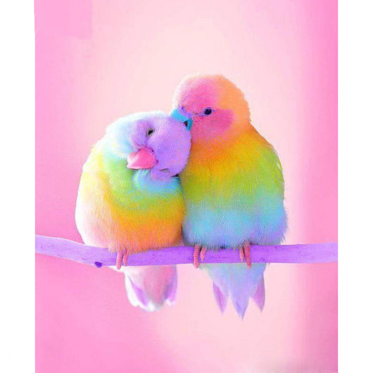 Pintura de Diamantes 5D Amor de Pájaros