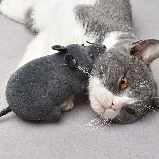 White remote control cat toy mouse with black ears and tail, next to a black remote control with red buttons.