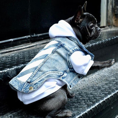 Ropa para Gatos Pet Tide - Diseño Teddy Suave y Cómodo - Image 8