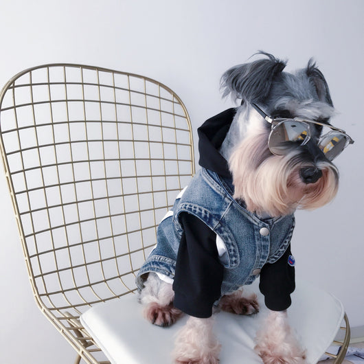 Ropa para Gatos Pet Tide - Diseño Teddy Suave y Cómodo - Image 11