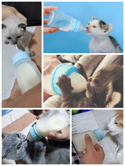 Botella Alimentadora para Gatos y Perros Pequeños con Chupete - Image 6