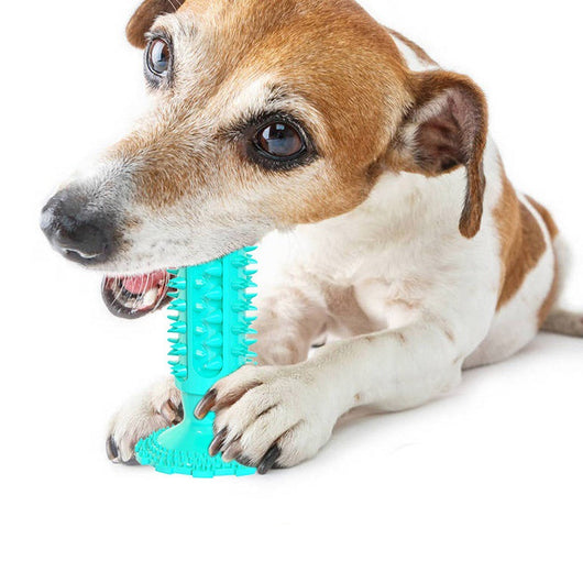Juguete Masticable Limpiador Dental para Perros con Ventosa - Image 2