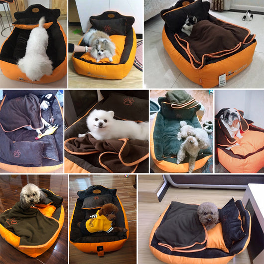Arena para Gatos Premium Multiusos para Mascotas - Image 9