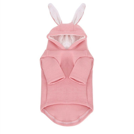 Sudadera para Perro Bichón con Orejas de Conejo y Diseño Teddy - Image 11