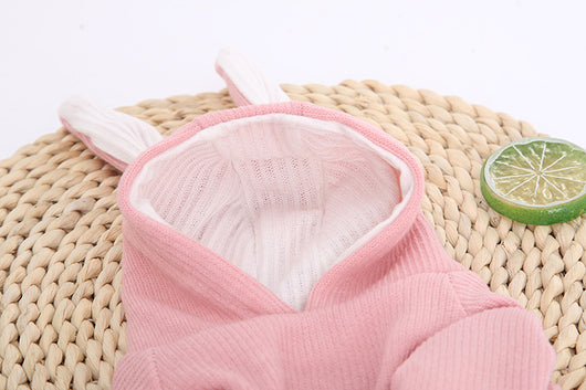 Sudadera para Perro Bichón con Orejas de Conejo y Diseño Teddy - Image 14