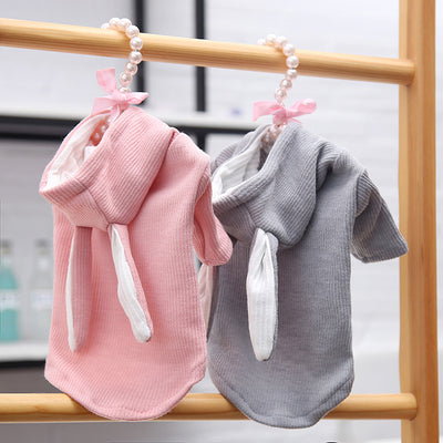 Sudadera para Perro Bichón con Orejas de Conejo y Diseño Teddy