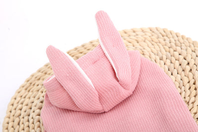 Sudadera para Perro Bichón con Orejas de Conejo y Diseño Teddy - Image 7