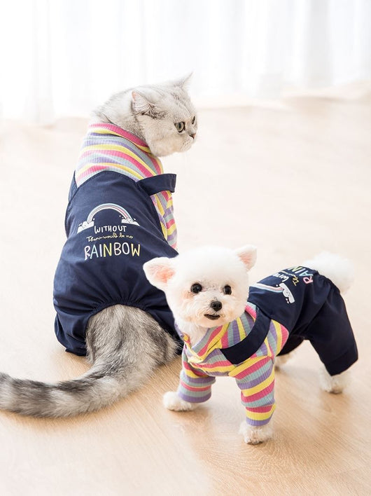 Abrigo Babero para Gatos - Ropa Ligera Otoño e Invierno - Image 6