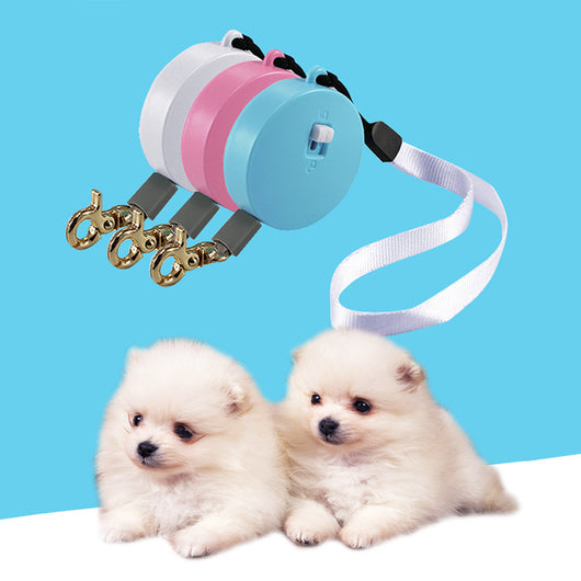 Correa Automática Retráctil para Perros 2M - Portátil y Flexible - Image 4
