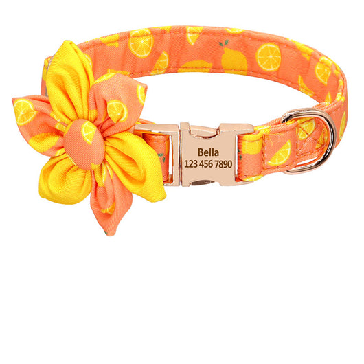 Collar Personalizado para Perro con Placa de Identificación Grabada - Image 12