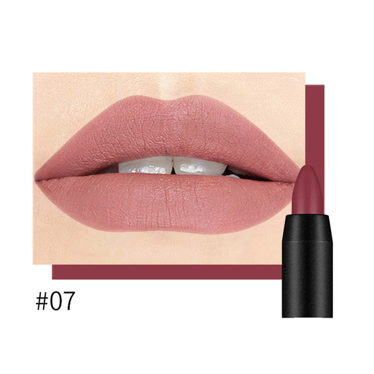 Labial Mate de Larga Duración DNM - Image 21