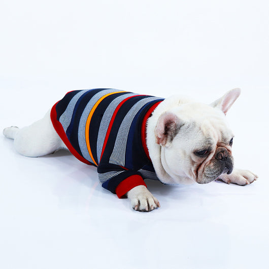 Ropa de Invierno para Gatos y Perros - Abrigos Cálidos y Cómodos - Image 9