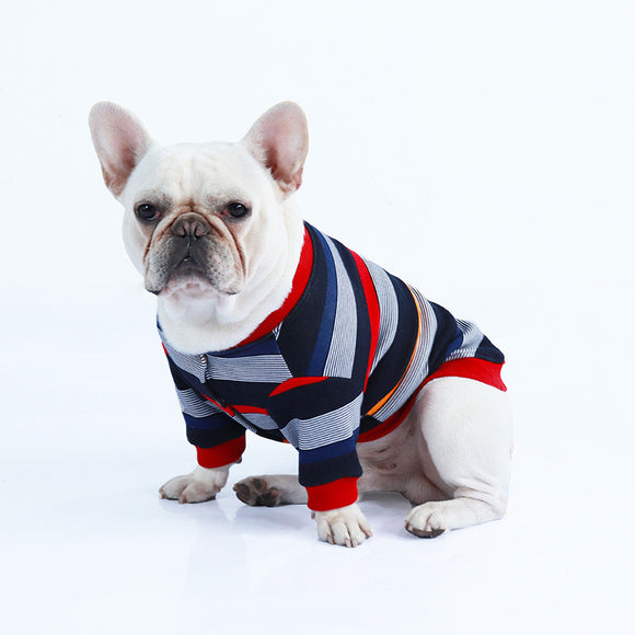 Ropa de Invierno para Gatos y Perros - Abrigos Cálidos y Cómodos