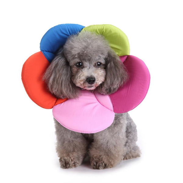 Collar de Protección Floral para Mascotas - Control y Seguridad
