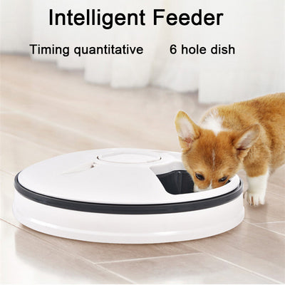 Comedero Automático para Mascotas con 6 Compartimentos, Temporizador y Grabadora de Voz - Image 9