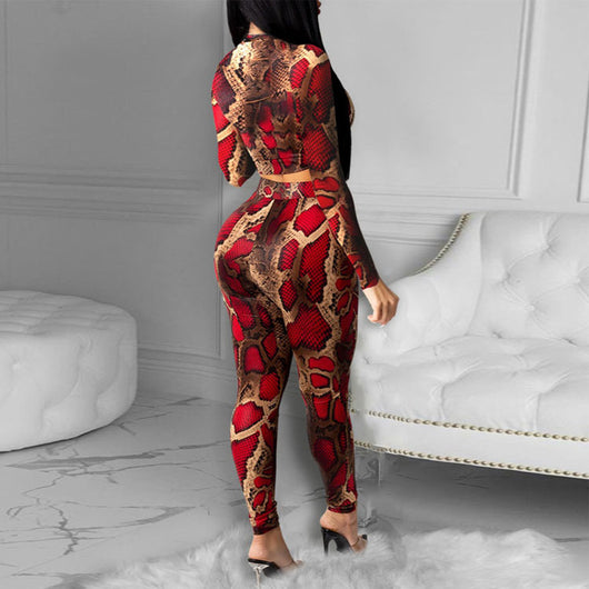 Conjunto de Dos Piezas con Estampado de Serpiente y Mangas Largas - Image 9
